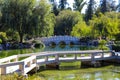 A gorgeous shot of the stone bridge with 3 circles over the green lake surrounded by lush green and autumn colored trees