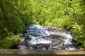 a gorgeous spring landscape with a flowing waterfall and rocks, lush green trees, grass and plants at Amicalola Falls State Park Royalty Free Stock Photo