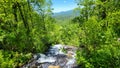 a gorgeous spring landscape with a flowing waterfall and rocks, lush green trees, grass and plants at Amicalola Falls State Park Royalty Free Stock Photo