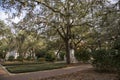 A gorgeous spring landscape at Franklin Square with lush green weeping willow trees and plants along a footpath