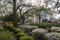 A gorgeous spring landscape at Franklin Square with white and purple flowers and lush green weeping willow trees and plants