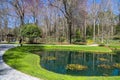 A gorgeous spring landscape in the garden with lush green grass, trees and plants and bare winter trees reflecting off the lake Royalty Free Stock Photo