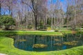 A gorgeous spring landscape in the garden with lush green grass, trees and plants and bare winter trees reflecting off the lake Royalty Free Stock Photo