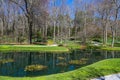 A gorgeous spring landscape in the garden with lush green grass, trees and plants and bare winter trees reflecting off the lake Royalty Free Stock Photo