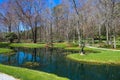 A gorgeous spring landscape in the garden with lush green grass, trees and plants and bare winter trees reflecting off the lake