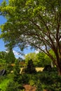 A gorgeous spring landscape in the garden with lush green trees, grass and plants with red flowers and blue sky with clouds Royalty Free Stock Photo