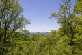 a gorgeous spring landscape with lush green trees and plants and mountains covered in lush green foliage Royalty Free Stock Photo