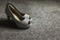 Gorgeous stylish elegant grey wedding shoes wth metal fragments