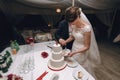 Gorgeous stylish happy bride and elegant groom cutting delicious
