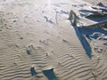 A gorgeous summer landscape at the beach at dusk with ripples in the silky brown sand and dead tree branches on the beach Royalty Free Stock Photo