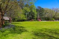 A gorgeous summer landscape in the garden with lush green trees, grass and plants and pink flowers with blue sky Royalty Free Stock Photo