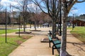 A gorgeous summer landscape in the park with green park benches surrounded by lush green grass and plants and bare winter trees Royalty Free Stock Photo