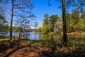 A gorgeous summer landscape with a rippling blue lake with lush green trees reflected off the water with clear blue sky Royalty Free Stock Photo