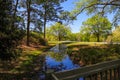 A gorgeous summer landscape with a small creek surrounded by lush green trees, grass and plants with colorful flowers and blue sky Royalty Free Stock Photo