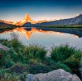 Gorgeous summer view of Stellisee lake. Royalty Free Stock Photo