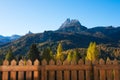 Gorgeous sunny view of Dolomite Alps with yellow larch trees. Colorful autumn panorama view landscape. Royalty Free Stock Photo