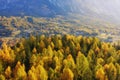 Gorgeous sunny view of Dolomite Alps with yellow larch trees. Colorful autumn panorama view landscape. Royalty Free Stock Photo