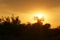 Gorgeous sunrise in Africa, Safari, Ethiopia. Royalty Free Stock Photo