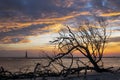 Sunrise Over Folly Beach and Morris Island Lighthouse Royalty Free Stock Photo