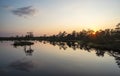 gorgeous sunset on a bog lake Royalty Free Stock Photo