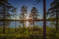 Gorgeous sunset on forest lake view. Beautiful summer backgrounds. Royalty Free Stock Photo