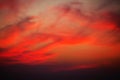 A gorgeous sunset with luminous red clouds over the Yala Nationalpark Royalty Free Stock Photo