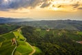 Gorgeous sunset over beautiful green vineyards. Aerial shoot of grape hills in summer