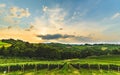 Gorgeous sunset over beautiful green vineyards. Austrian grape hills in summer