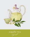 Gorgeous teapot, transparent glass cup, green tea leaves, flowers and fresh lemon fruit on gray background. Tasty citrus Royalty Free Stock Photo