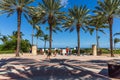 Gorgeous tropical landscape view. Tourists under tall palm trees on beautiful blue sky background. Florida.USA.