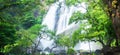 Gorgeous tropical waterfall on rainy morning Royalty Free Stock Photo