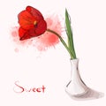 Gorgeous vase with tulip. Cartoon vector card for beautiful invitations Royalty Free Stock Photo