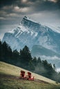 Gorgeous vertical view of the Banff National Park in Alberta, Canada