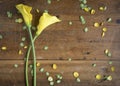 Gorgeous vertical yellow lilies on the left from above Royalty Free Stock Photo