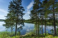 Gorgeous view of forest lake landscape on blue sky and white clouds background. Sweden. Royalty Free Stock Photo