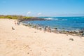 Gorgeous view of Galapagos Islands with some tourists swimming in the water of the Galapagos Islands. With rocks in the