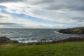 Gorgeous view of the grassy coastline on San Juan Island on a bright, sunny day with puffy white clouds