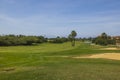 Gorgeous view of green grass golf field on background blue sky on Aruba island.