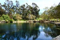 Gorgeous view of the green lake water and the lush green trees and plants with blue sky and clouds at Kenneth Hahn Park