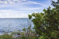 Gorgeous view of nature landscape on calm summer day. Baltic sea shore with green trees and plants on blue sky. Royalty Free Stock Photo