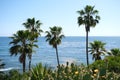 Gorgeous view of a peaceful beach in Laguna, California on a sunny day with a cloudless blue sky Royalty Free Stock Photo