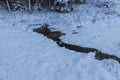 Gorgeous view of winter nature landscape.. Stream in winter forest. Beautiful nature landscape. Trees reflection on water. Royalty Free Stock Photo