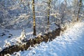 Gorgeous view of winter nature landscape. Stream in winter forest. Beautiful nature landscape. Trees reflection on water. Royalty Free Stock Photo