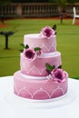 Gorgeous wedding cake Royalty Free Stock Photo