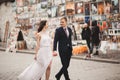 Gorgeous wedding couple, bride, groom kissing and hugging against the background of paintings Royalty Free Stock Photo