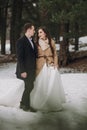 Gorgeous wedding couple walking in winter snowy park. stylish bride in coat and  groom embracing under green trees in winter Royalty Free Stock Photo