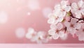 Gorgeous white cherry blossom on mystical bokeh background with spacious copy space on the left