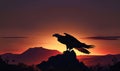 Gorgeous white-headed eagle sitting on the top of the rock. Silhouette of the bird at sundown. Generative AI Royalty Free Stock Photo
