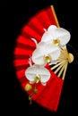 Gorgeous white phalaenopsis orchids and traditional chinese redfolding fan Royalty Free Stock Photo
