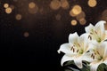 Gorgeous white poinsettia on isolated magical bokeh background with two thirds copy space